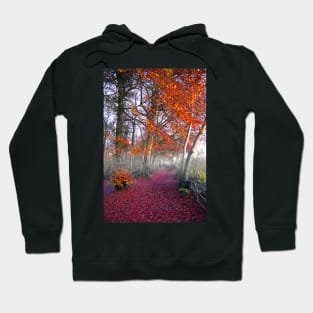 Cotswolds Way, Westridge Woods Hoodie